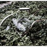 Ospedale psychiatrico-11