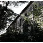 Ospedale psychiatrico-12