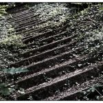 Ospedale psychiatrico-15