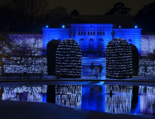 XMAS Garden Wilhelma, Stuttgart