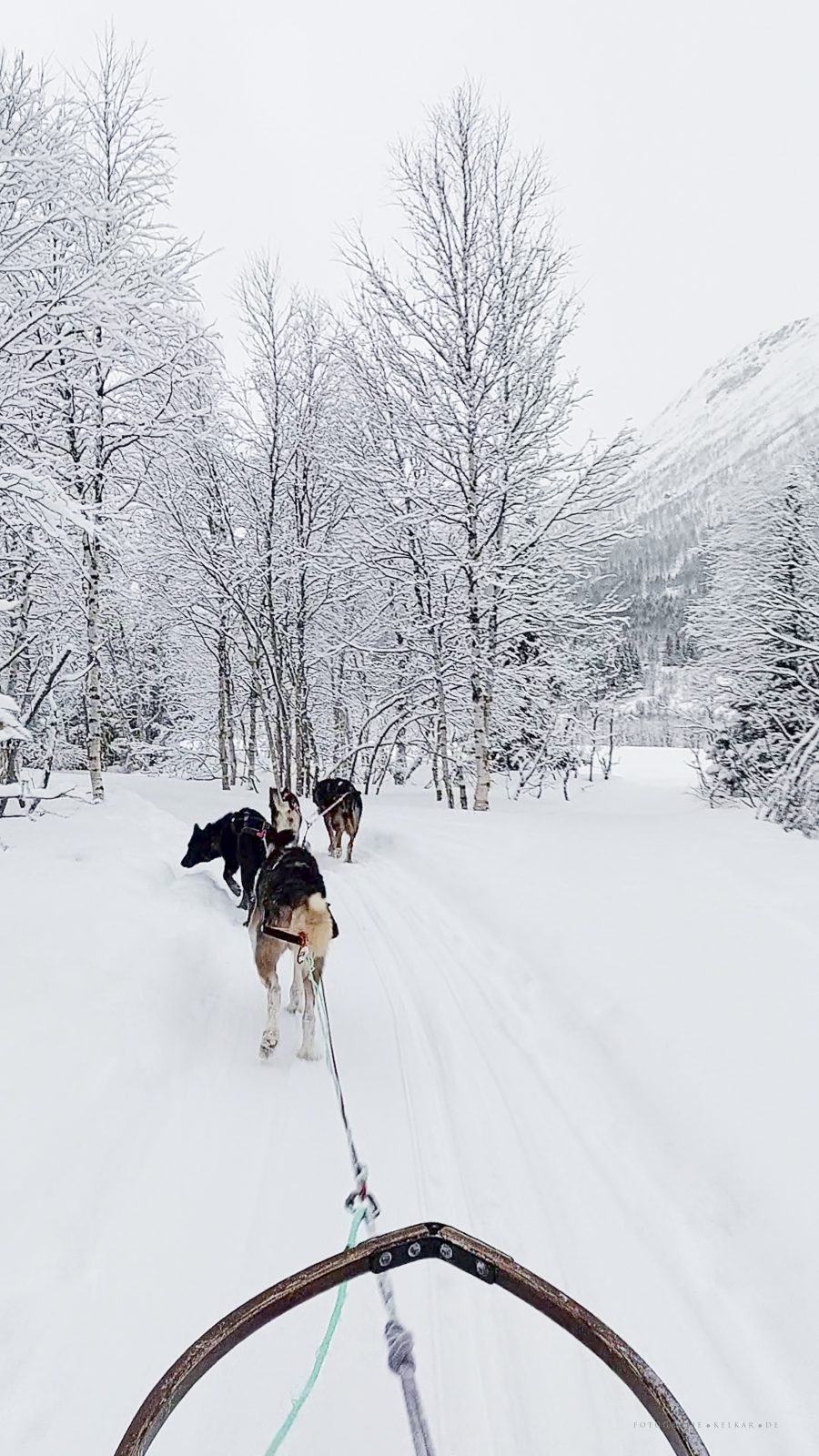 Tromso 260209_142645