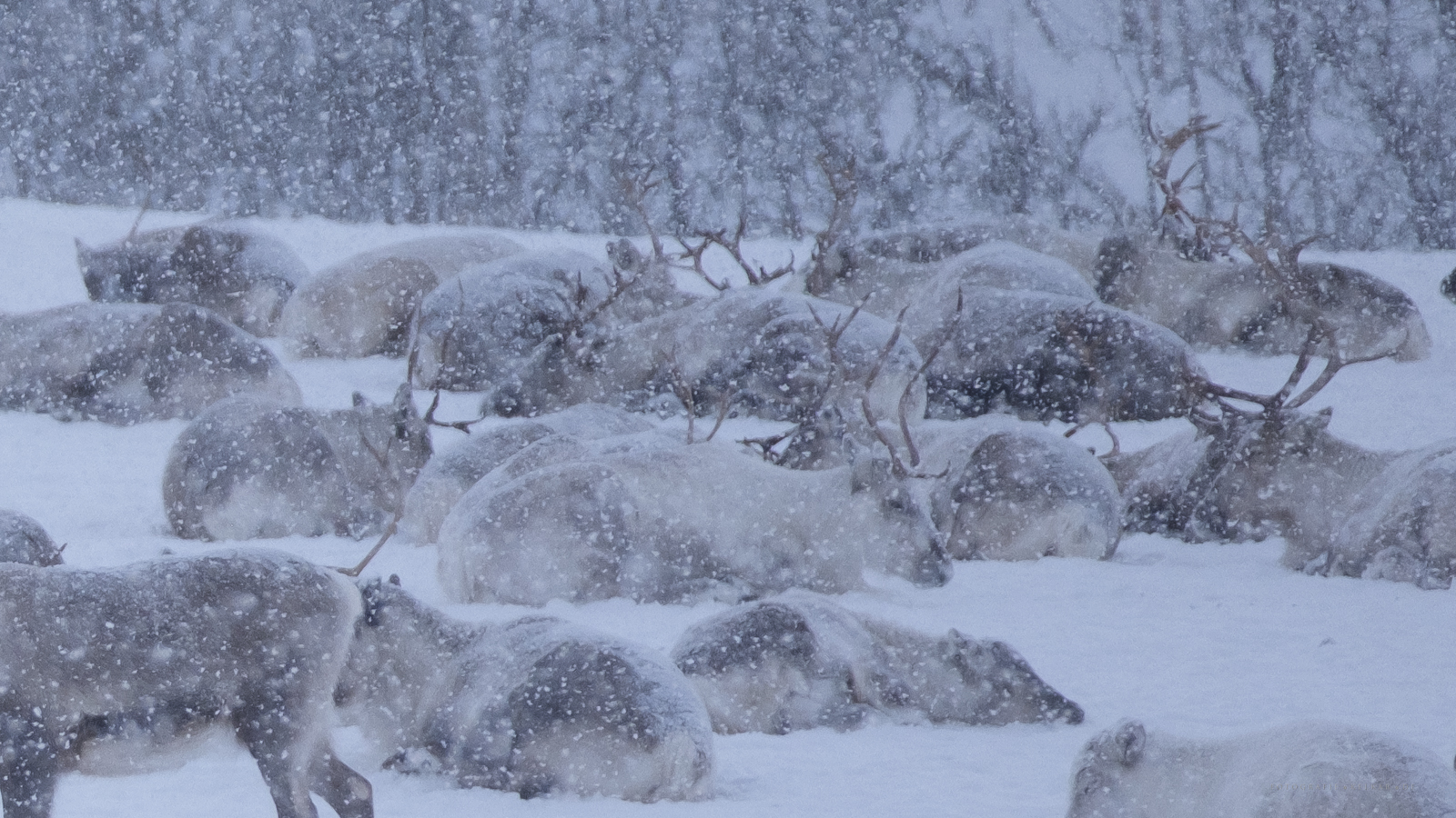 Tromso 260213_134511