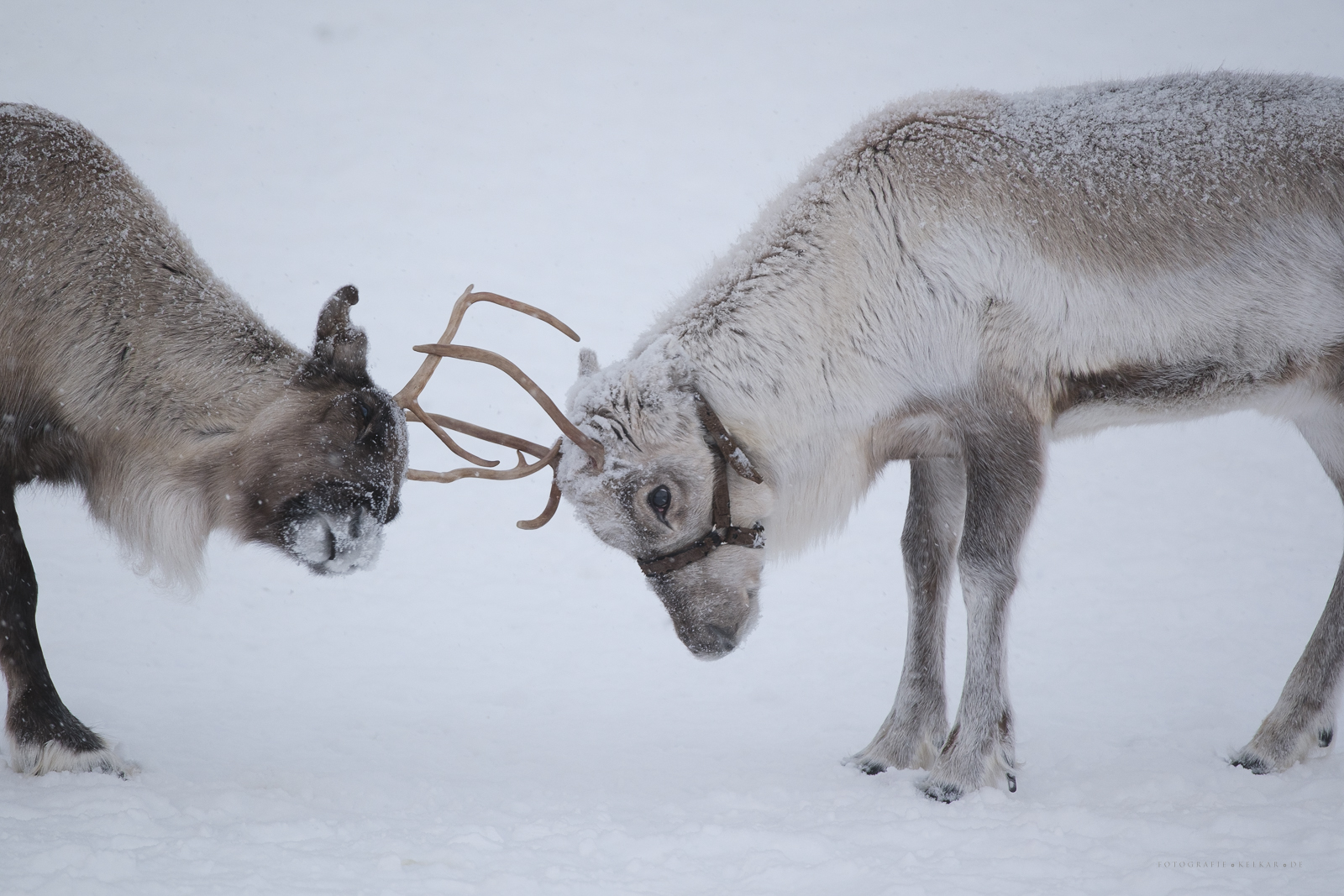 Tromso 260213_143404
