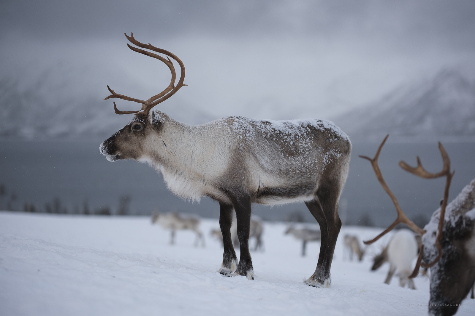 Tromso 260213_144334